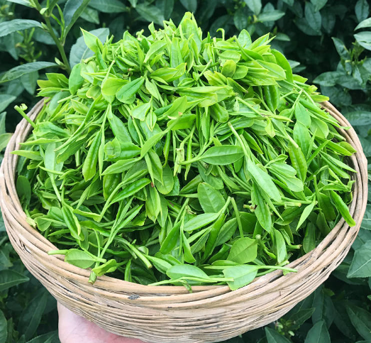 茶葉一兩多少錢(茶葉一兩多少錢好)