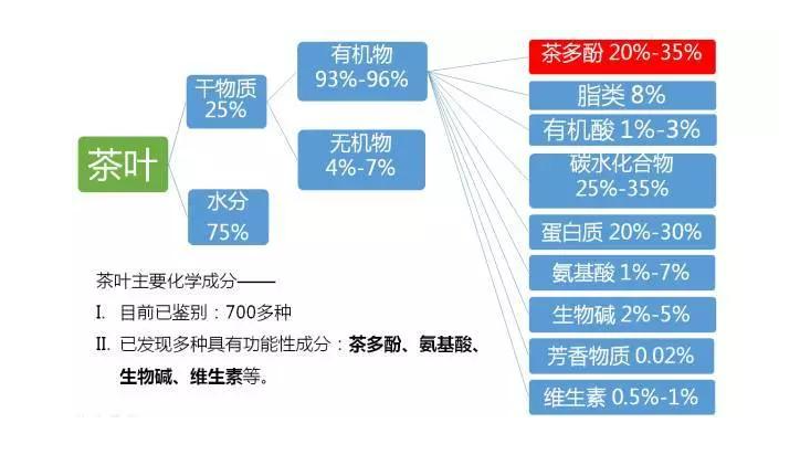 喝茶可以養(yǎng)生，哪種茶最健康呢？